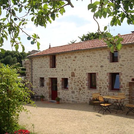 Bed and Breakfast Demeure Du Castel Les Chatelliers-Chateaumur Екстер'єр фото