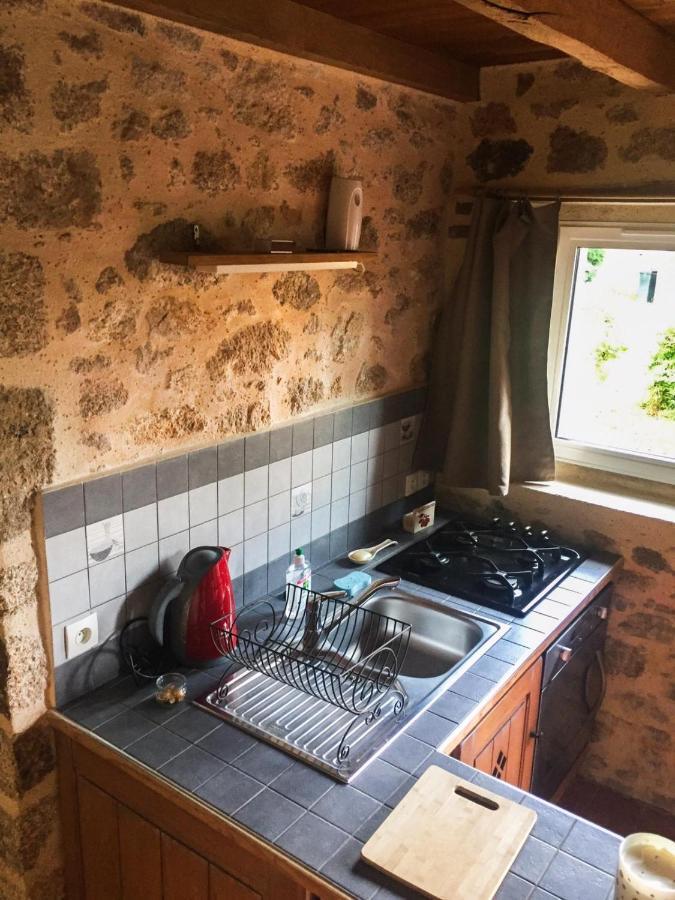 Bed and Breakfast Demeure Du Castel Les Chatelliers-Chateaumur Екстер'єр фото